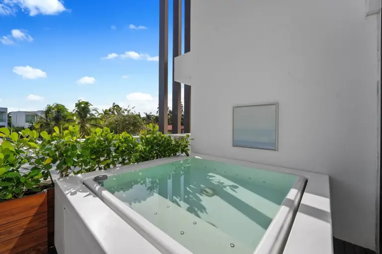 Rooftop plunge pool edged with tropical planting overlooking the city at Starr DeVos Condo